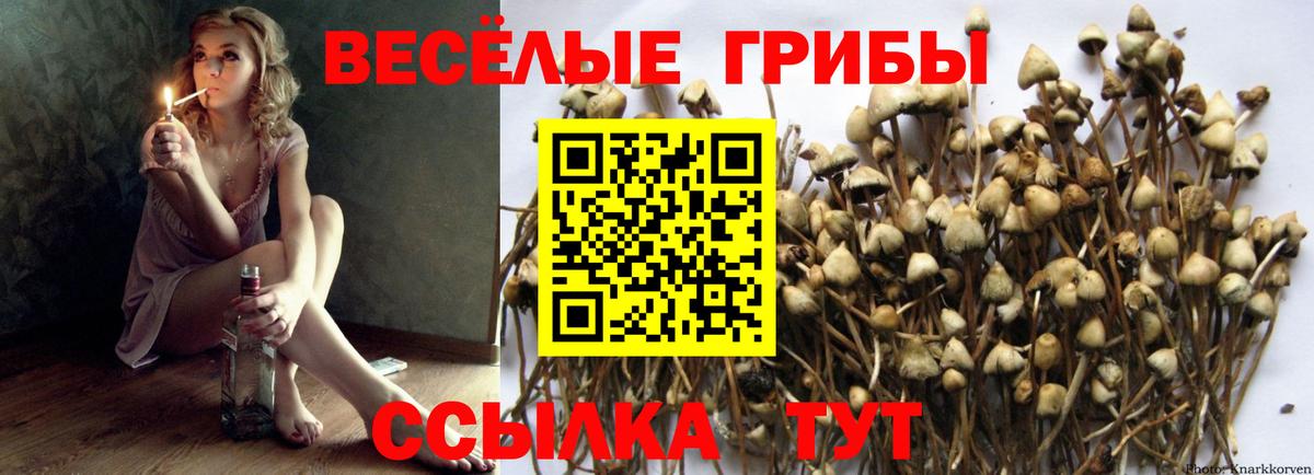 Назрань  Псилоцибиновые грибы мухоморы  Вход с VPN 